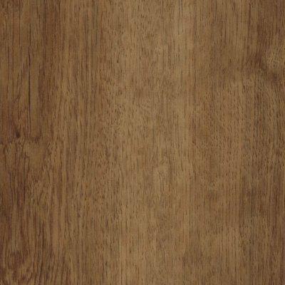 Monterey Oak