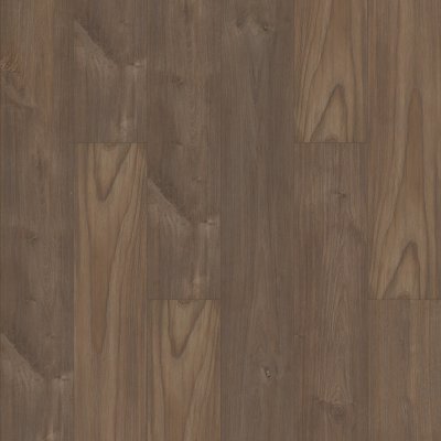 Oiled Walnut