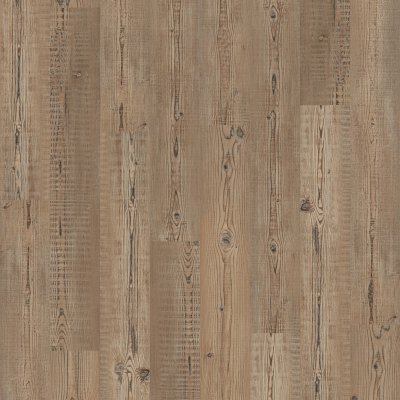 Accent Pine