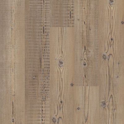 Accent Pine