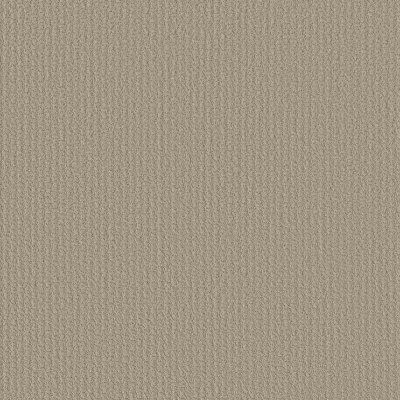 Studio Taupe