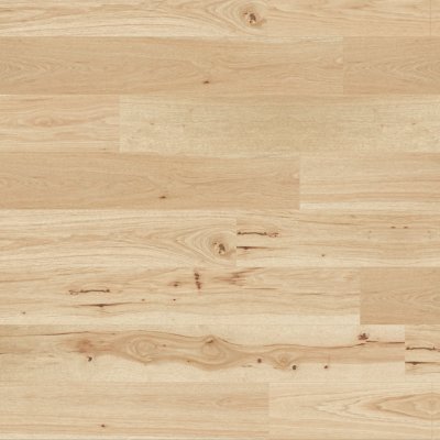 Pale Honey Hickory