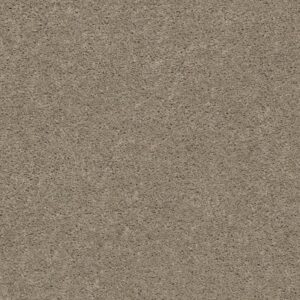 EXPLORER by Shaw Floors - Dusty Road
