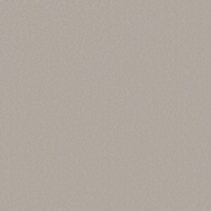 AWAKEN SPIRIT II 15' by Shaw Floors - Ice Cube