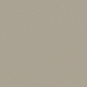 AWAKEN SPIRIT I by Shaw Floors - Whiskers