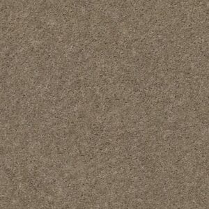 EXPLORER by Shaw Floors - Smokey Ash