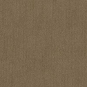 INSIGHTFUL WAY by Shaw Floors - Summerville