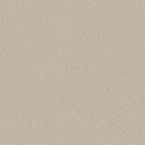 ENDLESS EVENING III by Shaw Floors - Polar