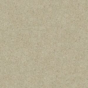 CRUSADER by Shaw Floors - Big Chill