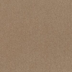 FLASHY by Shaw Floors - Kansas Soil