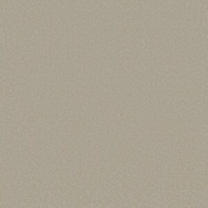 AWAKEN SPIRIT II 12' by Shaw Floors - Whiskers