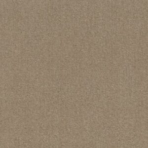 FLASHY by Shaw Floors - Winter Milk