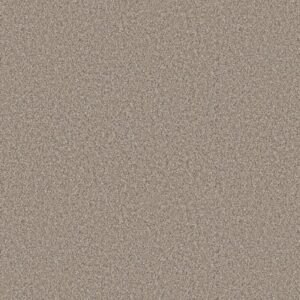 ELEVATED I by Shaw Floors - Nutria