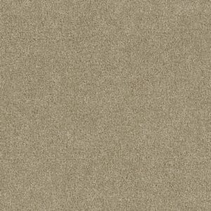 Dream Weaver Foxwood ll in Cashmere 50oz.