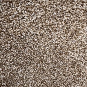 TOP FLIGHT II IN COLOR DUNE