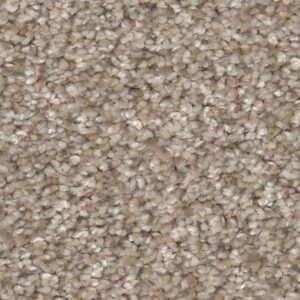 Shaw Elevated l in color Soft Sand