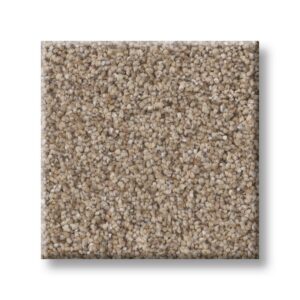 Shaw Elevated l in color Summer Straw